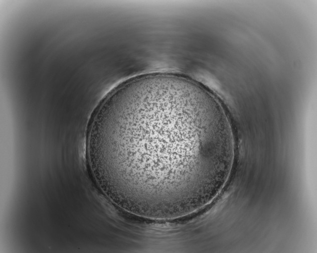 X0000093431220200710191020
