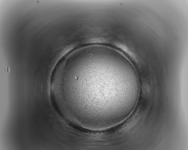 X0000093431221200710191020