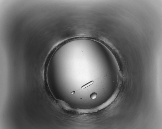 X0000093431222200710191020