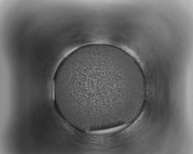 X0000093431223200710191020
