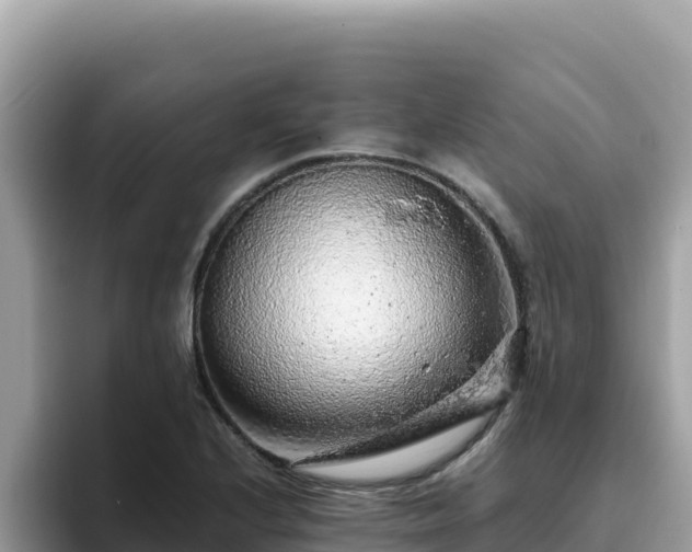 X0000093431224200710191020