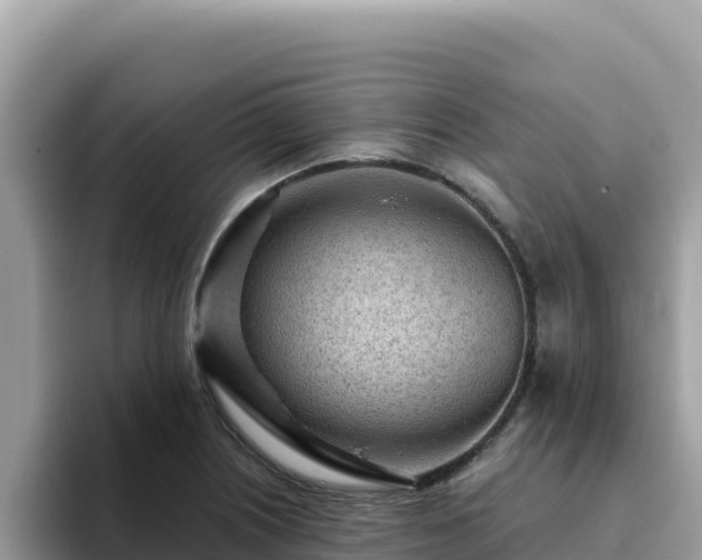 X0000093431226200710191020