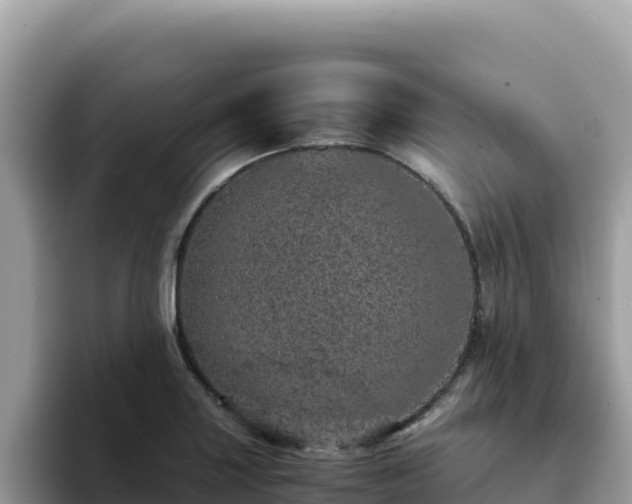 X0000093431227200710191020