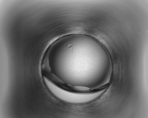 X0000093431230200710191020