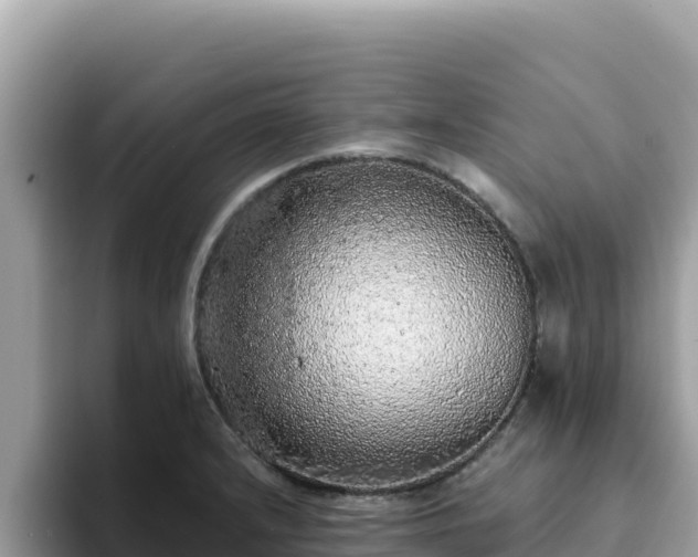 X0000093431232200710191020