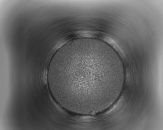 X0000093431233200710191020