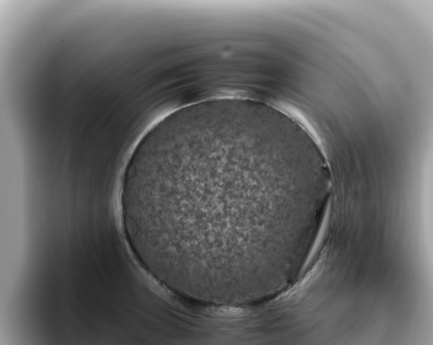 X0000093431235200710191020