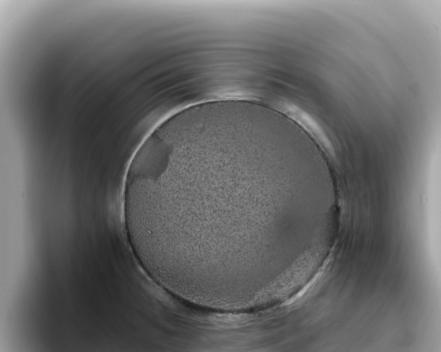X0000093431236200710191020