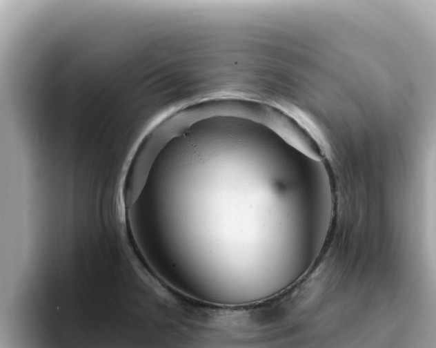 X0000093431238200710191020