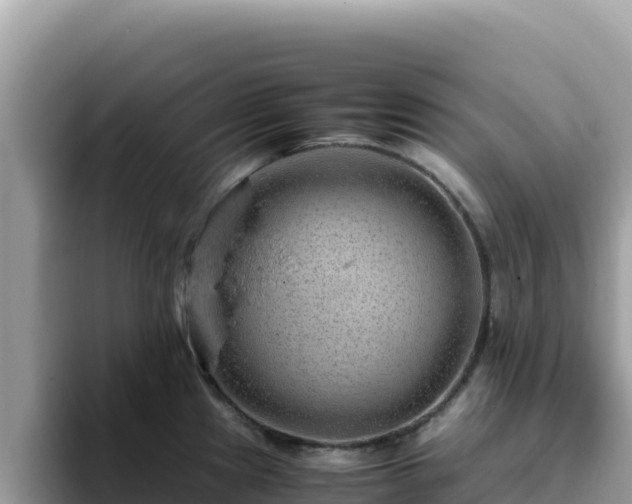 X0000093431241200710191020