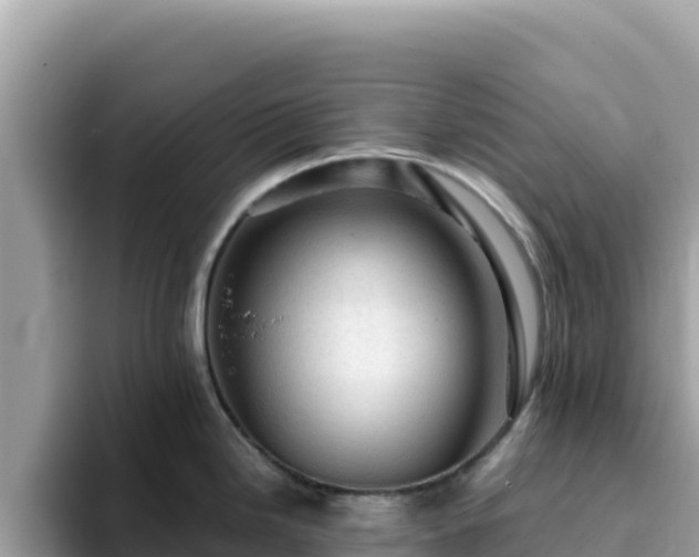 X0000093431246200710191020