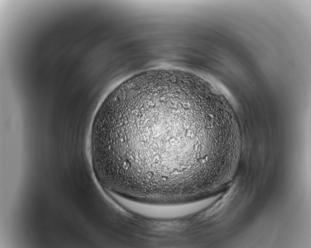 X0000093431247200710191020