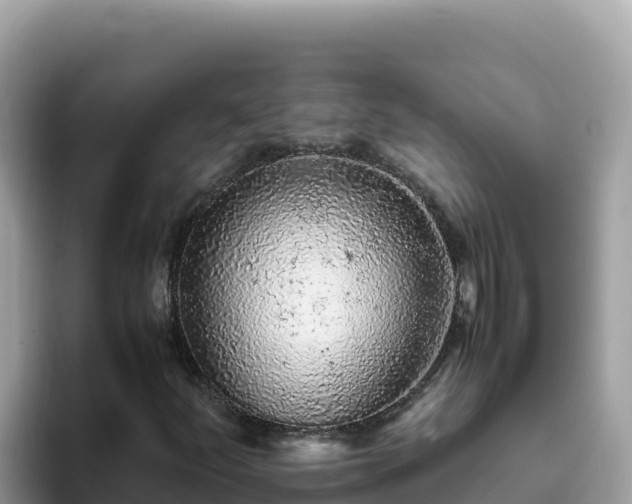 X0000093431252200710191019
