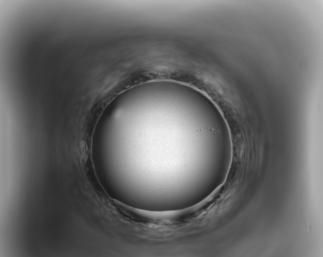 X0000093431253200710191019