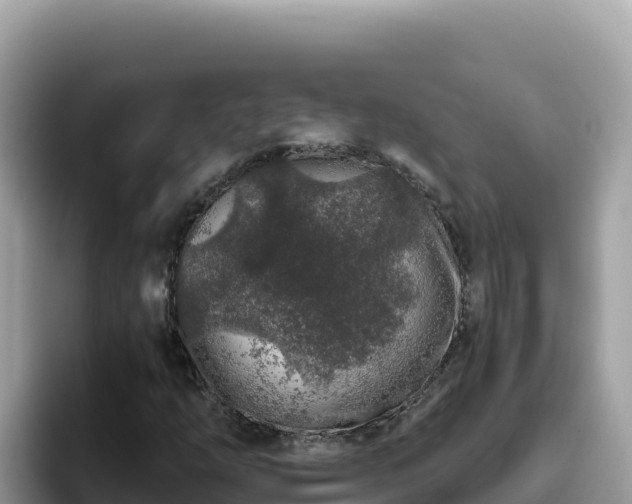 X0000093431254200710191019