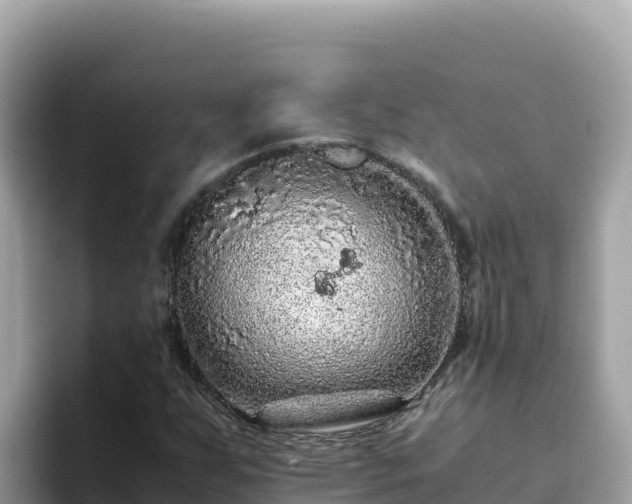 X0000093431255200710191019