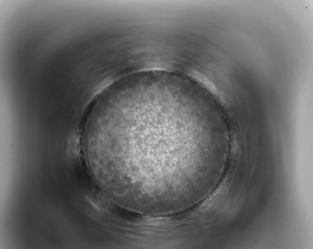 X0000093431258200710191019