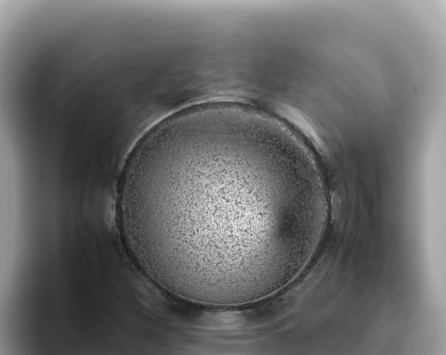 X0000093431260200710191019