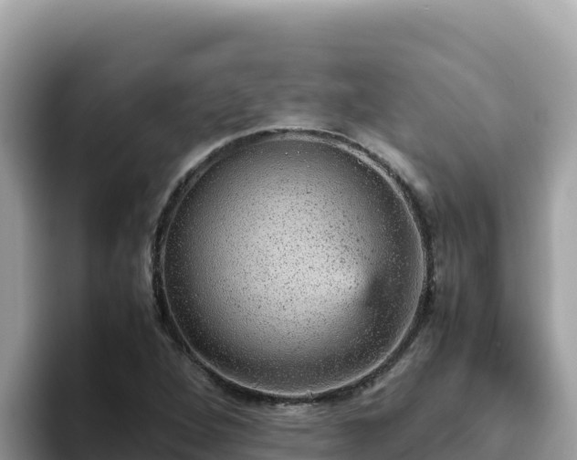 X0000093431264200710191019