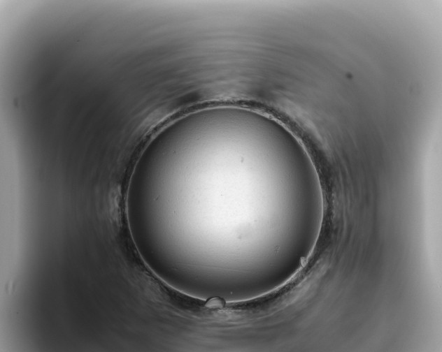 X0000093431265200710191019