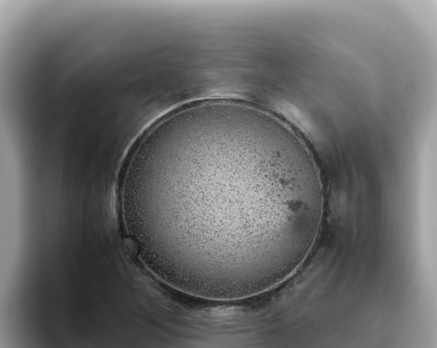 X0000093431268200710191019