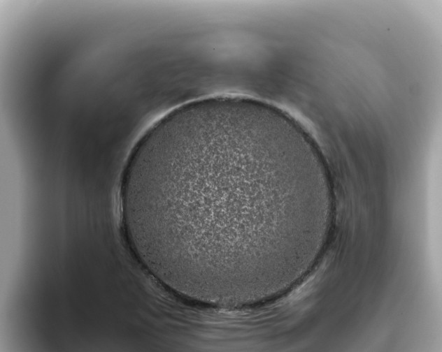 X0000093431271200710191019