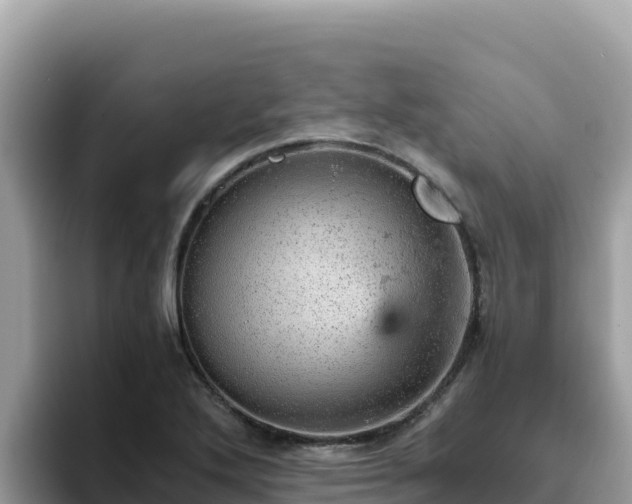 X0000093431272200710191019