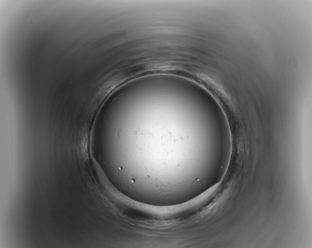 X0000093431273200710191019