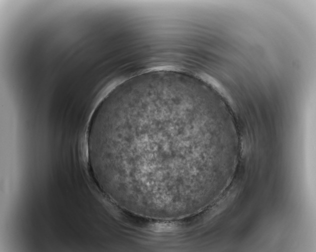 X0000093431274200710191019