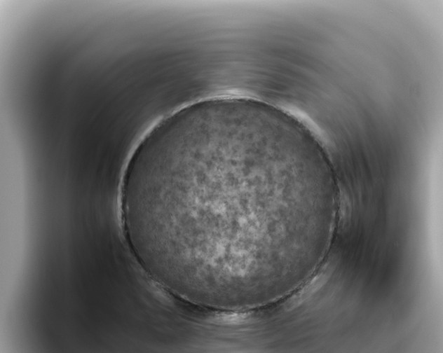 X0000093431278200710191019