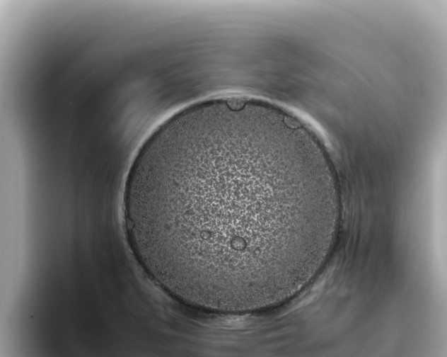 X0000093431279200710191019