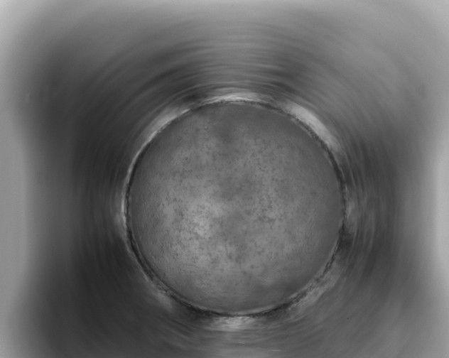X0000093431282200710191019