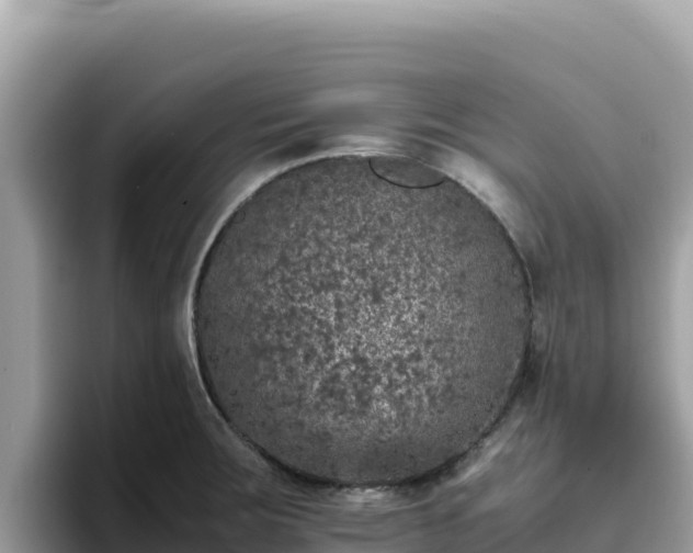 X0000093431283200710191019