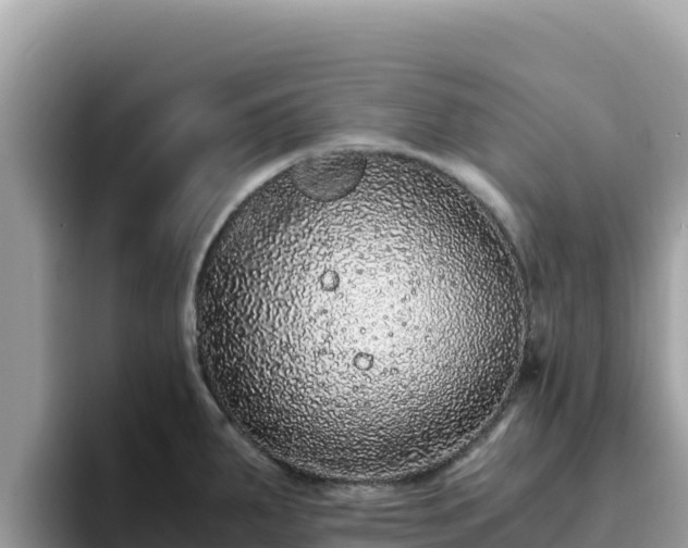 X0000093431287200710191019