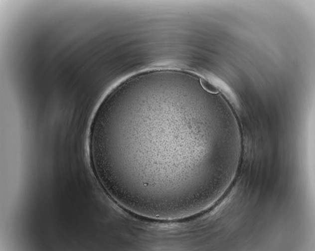 X0000093431288200710191019