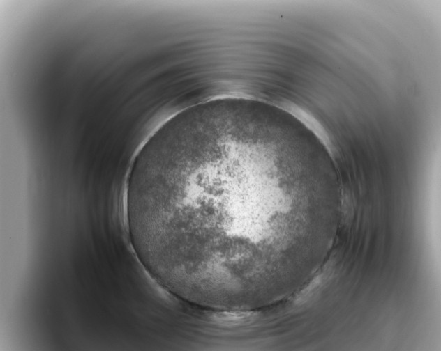 X0000093431290200710191019