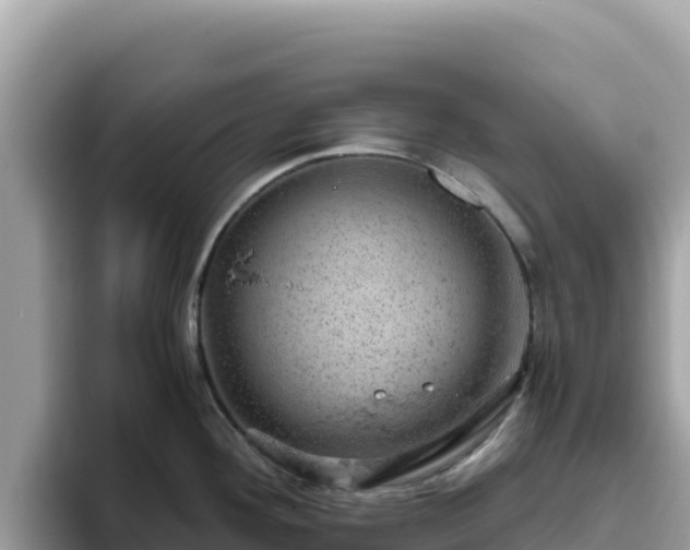 X0000093431292200710191019