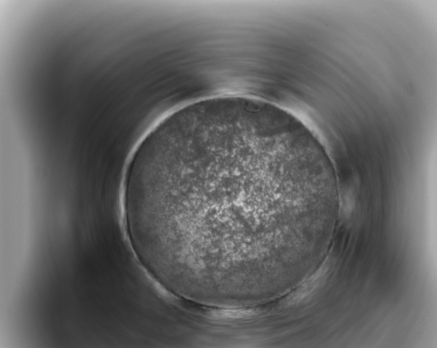 X0000093431294200710191019