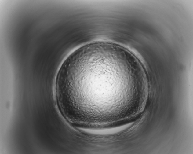 X0000093431295200710191019