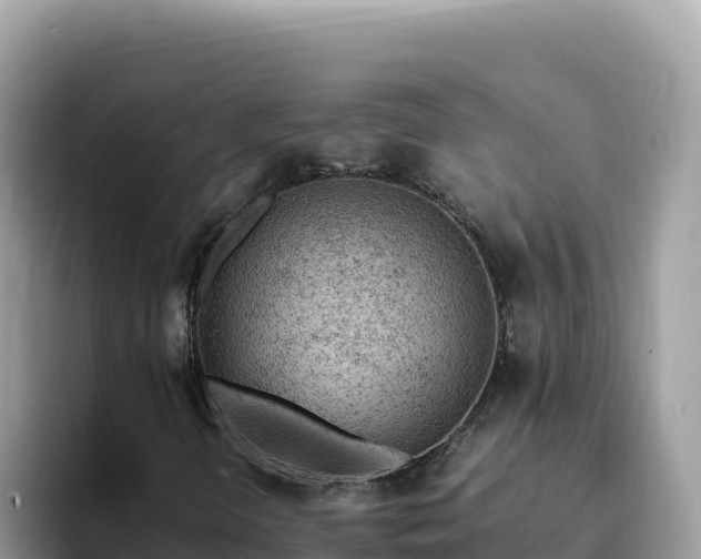 X0000093431298200710191018