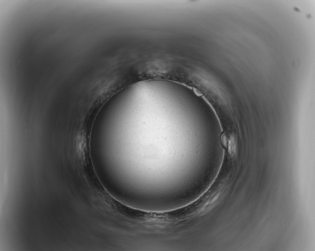 X0000093431299200710191018