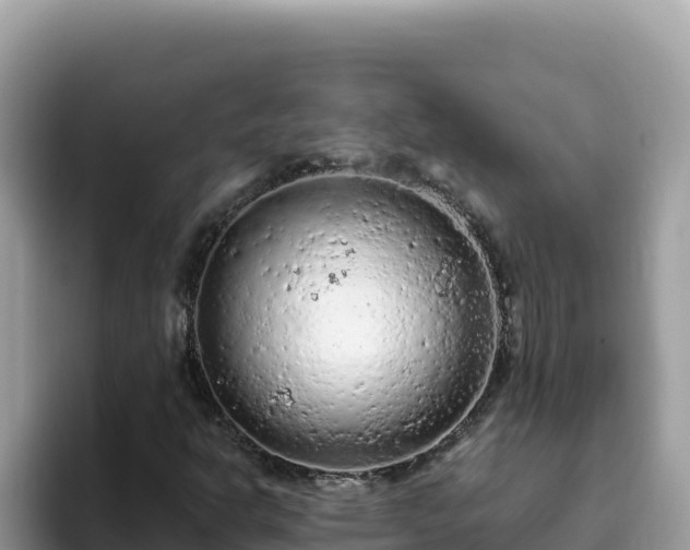 X0000093431302200710191018
