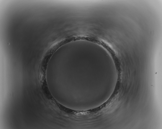 X0000093431303200710191018