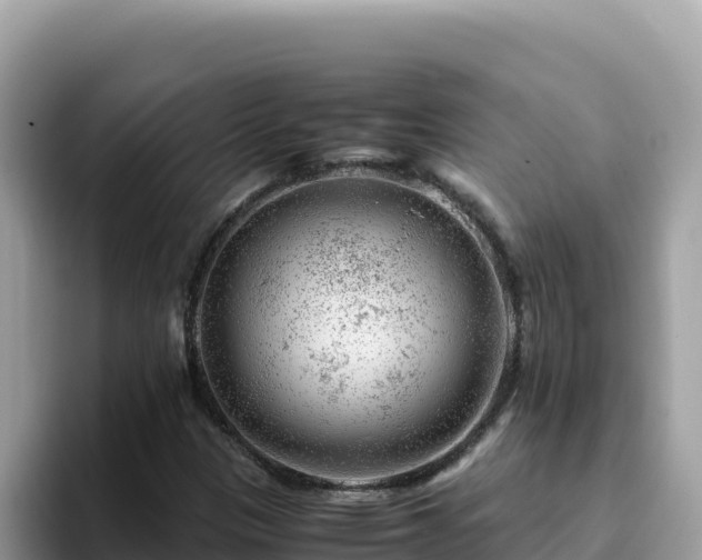 X0000093431305200710191018