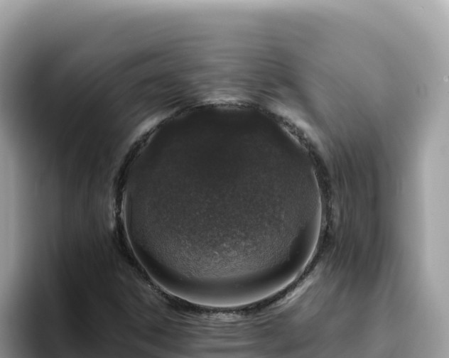 X0000093431306200710191018