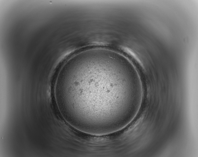 X0000093431307200710191018