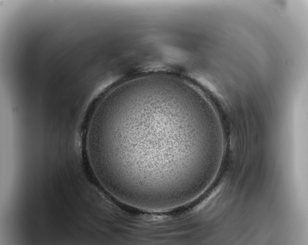 X0000093431309200710191018