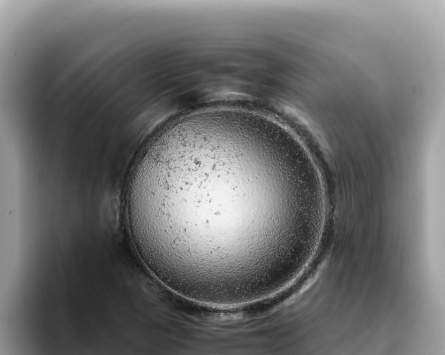 X0000093431313200710191018