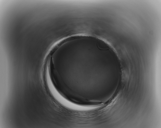 X0000093431319200710191018