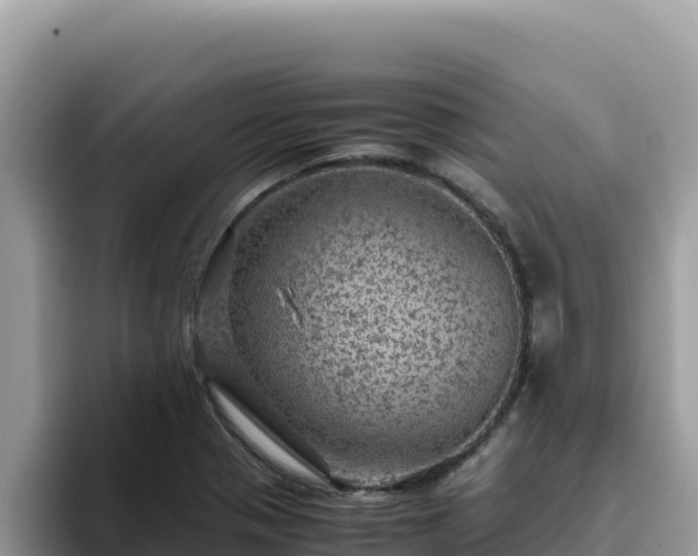 X0000093431321200710191018